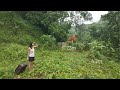 Survival Challenge : Girl Building a House Alone in The Deep Forest (PART 1)