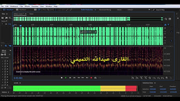 القارى عبدالله التميمي سورة الفجر