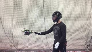 Low-level Autonomous Control and Tracking of Quadrotor using Reinforcement Learning