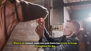 5 Feeding Mistakes That Are Quietly Hurting Your Horse