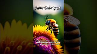 Fakta Unik Lebah Madu#shorts #lebah #madu