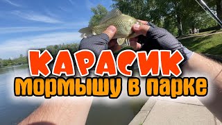 #49 Карась+Ротан | Красивейший Парк СПб | #мормышинг #nanojig