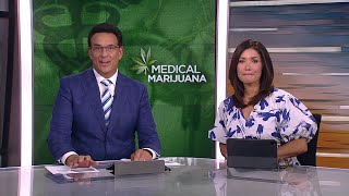 THC gummies to be an option for Minnesotans in medical cannabis program
