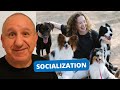 Socializing dogs - New and fresh ideas Socializing dogs - New and fresh ideas