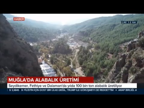 Video: Alabalık Ezmesi