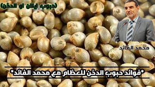 فوائد حبوب ايلان او الدخن مع الدكتور محمد الفائد