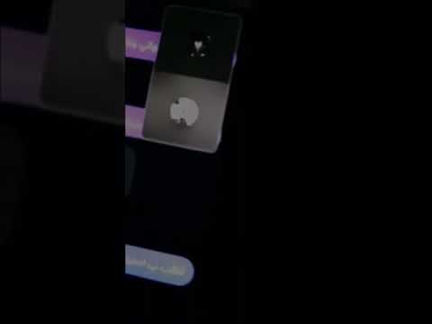 ويف جحيم الاماراتي ينبح