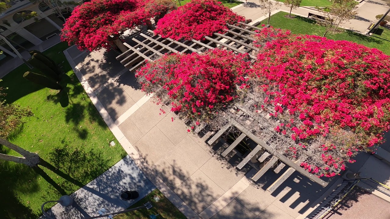 (Tbt) Raw City Flow (Fpv Freestyle)