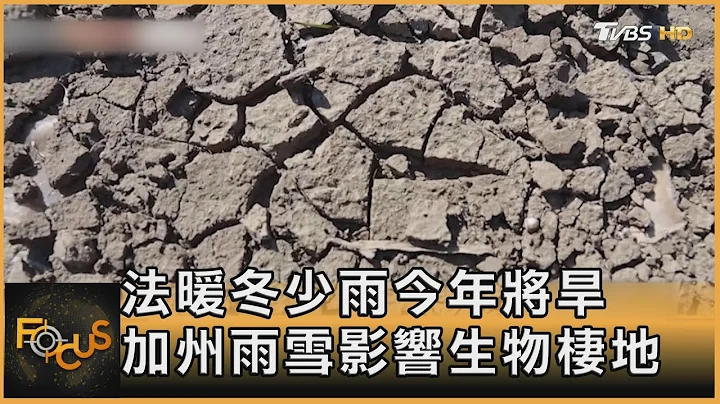 法暖冬少雨今年将旱 加州雨雪影响生物栖地 ｜方念华｜FOCUS全球新闻 20230302@TVBSNEWS01 - 天天要闻