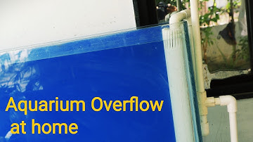 Making Aquarium Overflow Without Drilling Aquarium Glass at Home
