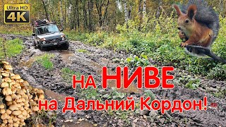 видео: Красивая Осень Сибири! На Дальний Кордон За Грибами! НИВА ЛЕГЕНДА Едет! Преодолеваем Бездорожье LADA картинка: Красивая Осень Сибири! На Дальний Кордон За Грибами! НИВА ЛЕГЕНДА Едет! Преодолеваем Бездорожье LADA