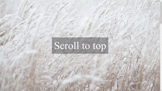 Scroll to top button with scroll indicator