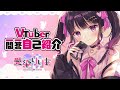 【自己紹介】Vtuber一問一答自己紹介 / VTuber Q&A Self Introduction 【愛染りりあ / #Vtuber 】
