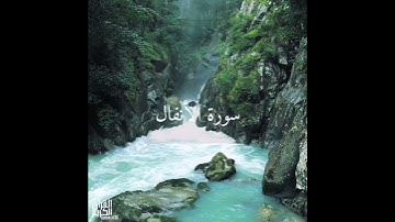 سورة: الأنفال  القارئ: حاتم المالكي