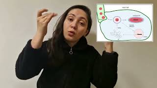 3Mt 2025 Entry- Ceren Ozdemir- Koc University