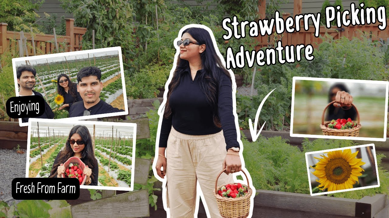 Bangalore’s Hidden Strawberry Farm 🍓 (Worth the Hype?) | Odia Vlog