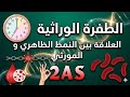 النمط المورثي والنمط الظاهري الطفرة الوراثية شرح شامل 2