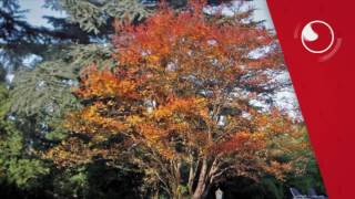 Hotel Torre Marti, Sant Juliá de Vilatorta | Hoteletto