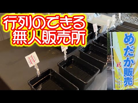 【おなつ】※ご本人様以外の方は、ご購入ご遠慮ください。 ✩.*˚】ご本人以外は購入をお控えください 弊社を装った