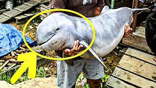 Baby Dolphin Rescued From Drowning, Incredible As He Is Nursed Back To Health