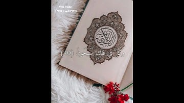 ماهر المعيقلي💭⚡أجمل حالات واتس اب دينية مقاطع دينية قصيرة مقاطع انستقرام دينية 2022 مقاطع سورة يسٓ