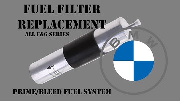 Fuel Filter Replacement & Prime/Bleed Fuel System (All F&G Series)