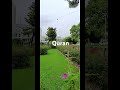 Huzoor fermate surah ayat urdu ki #trending #loveallah786 #tariqjameel #viral #tiktok #funny #nature
