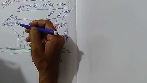 Class 7# Science # Nutrition of Animals# সপ্তম শ্ৰেণীৰ # প্ৰাণীৰ পৰিপুষ্টি # Part 2