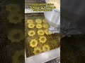 Satisfying Industrial Kitchen Process Of Making Fresh Golden Donuts