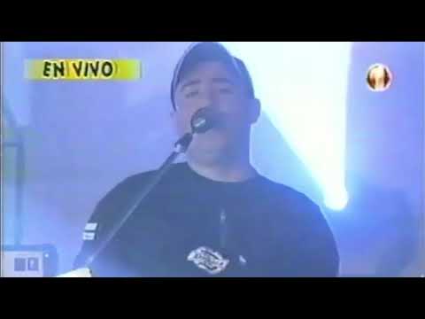 Llegas en vivo en TV - No viene nadie