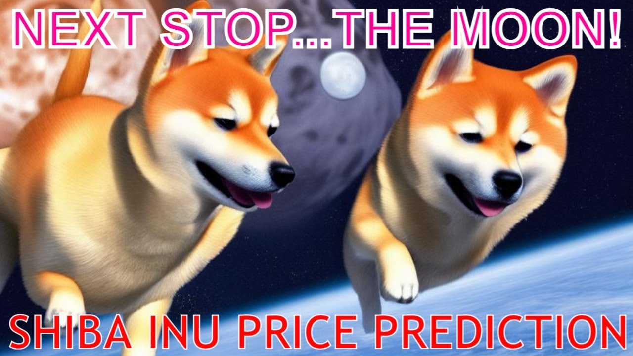 Will Shiba Inu Reach A PENNY In 2023 Will Shiba Inu PUMP Soon will-shiba-inu-reach-a-penny-in-2023-will-shiba-inu-pump-soon