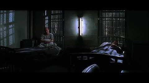 Battle of the Squirrels