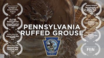 Pennsylvania Ruffed Grouse