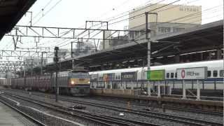 JR貨物 EF66-36 貨物列車 (2095レ ゼロロク) JR東海 名古屋駅 貨物専用線