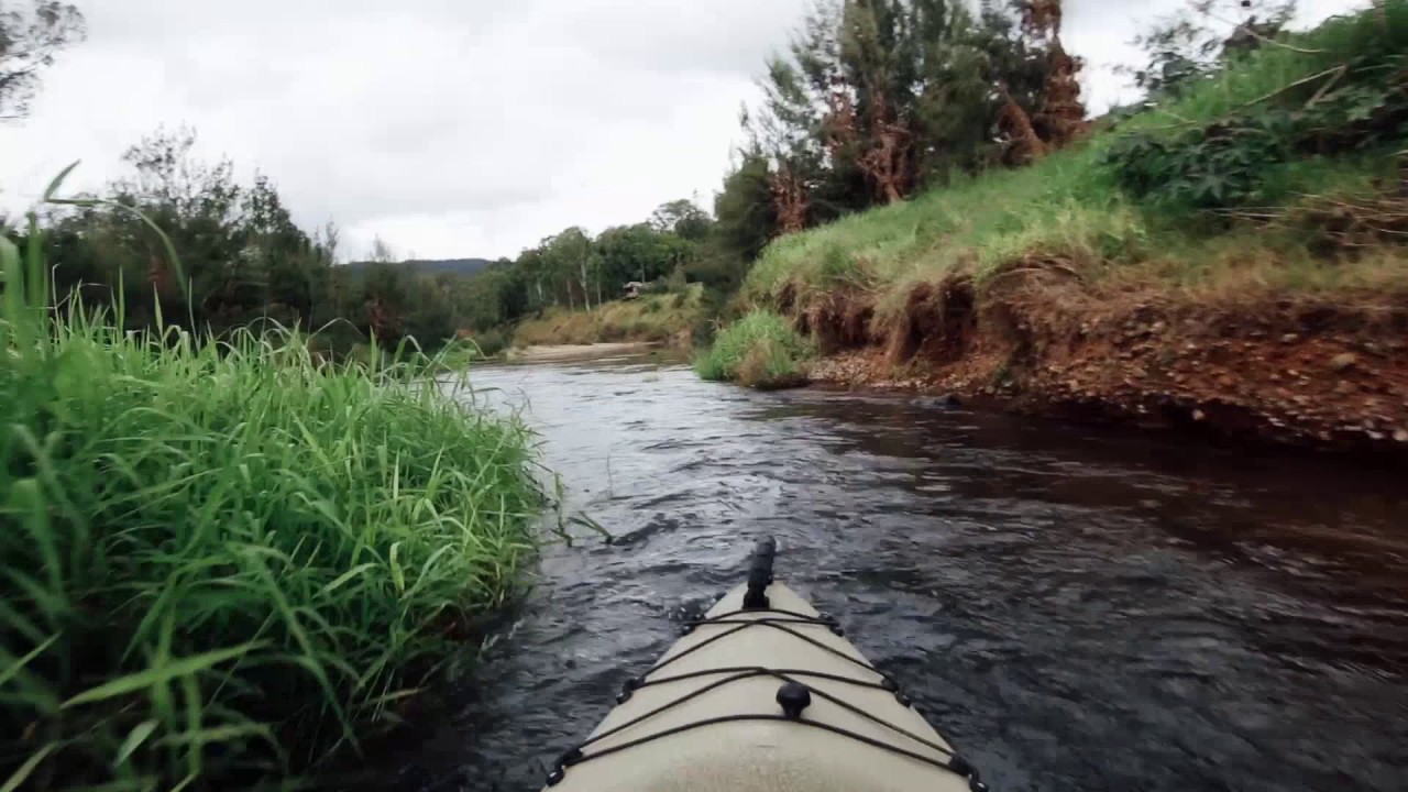 Kayaking the Mary River, Kenilworth, Sunshine Coast Queensland YouTube