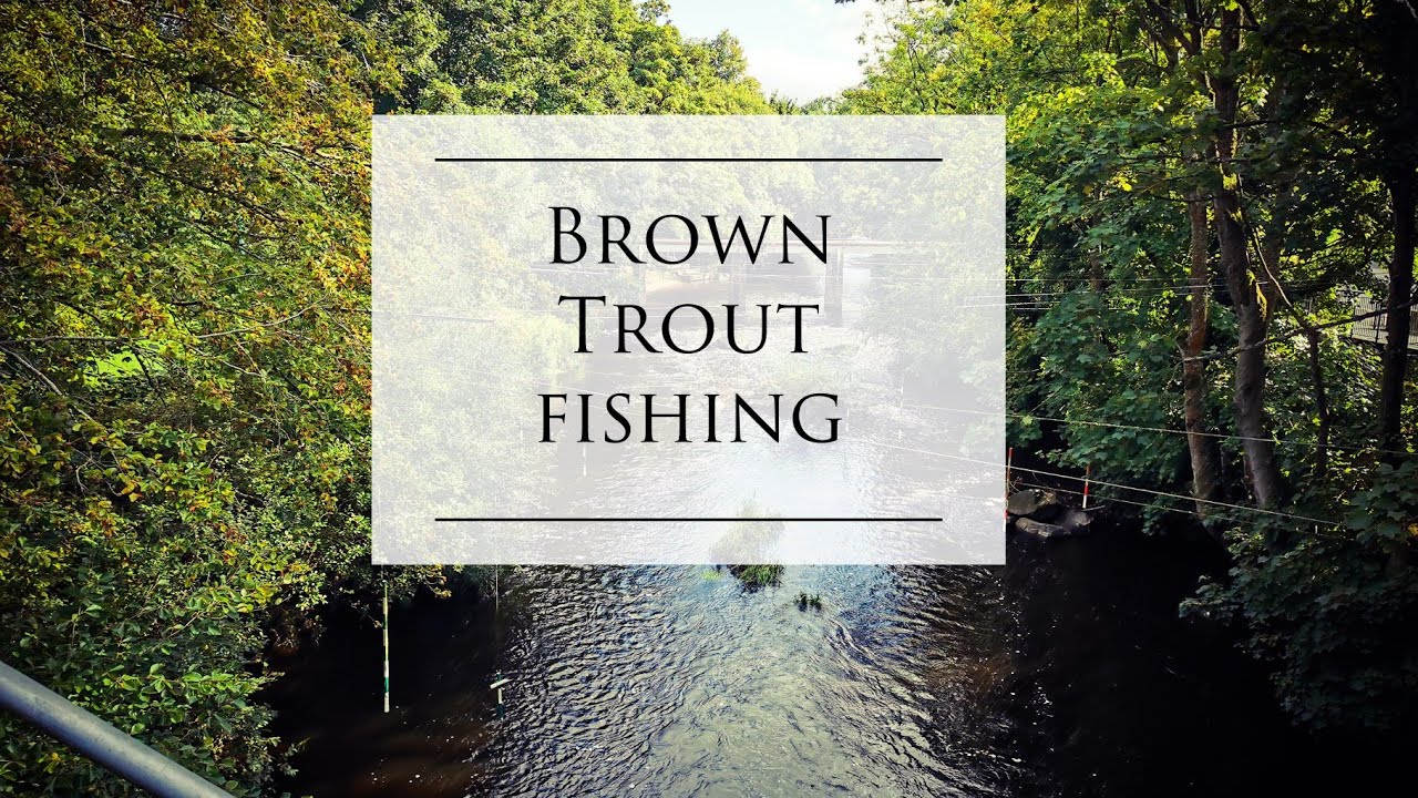 Lure fishing for Brown Trout & Channel update YouTube