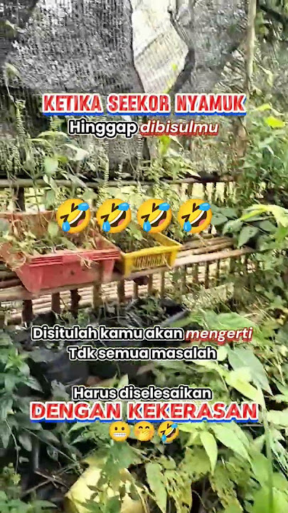 semua bisa diselesaikan baik2 #trending