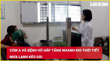 Cúm A và bệnh hô hấp tăng nhanh khi thời tiết mưa lạnh kéo dài| Báo Lao Động