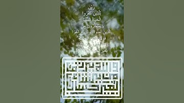 صباح الخير آية من القرآن الكريم  تلاوة القارئ الشيخ عبدالولي الاركاني حفظه الله