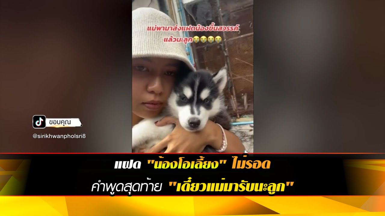 แฝด "น้องโอเลี้ยง" ไม่รอด  ทิ้งคำพูดสุดท้าย "เดี๋ยวแม่มารับนะลูก"