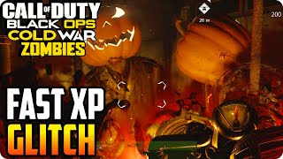 Cold War Zombie Glitches Fast XP/Camo Glitch 1.25 Patch (Die Maschine)