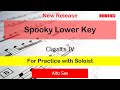 Spooky Lower Key : Classics IV : Alto Sax Playalong for Practice with Soloist