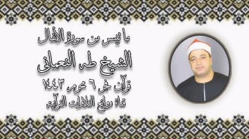 سورة الأنفال - قرآن فجر ١٤ أغسطس ٢٠٢١ - الشيخ طه النعمانى