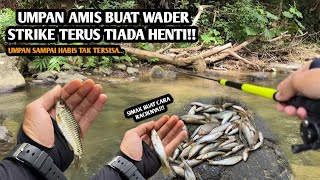 UMPAN INSTAN GACOR BANGET BUAT WADER!! Mancing wader pakai teknik kumbul umpan Amis Gold Melon Susu