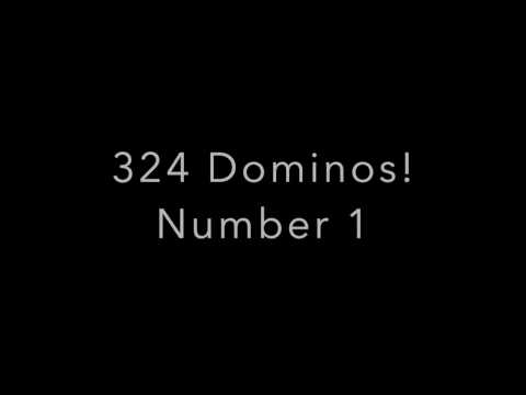324 Dominos! Number 1