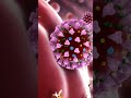 Types of Blood Cell😲😲😲 #facts #sciencefacts #shorts #ytshorts