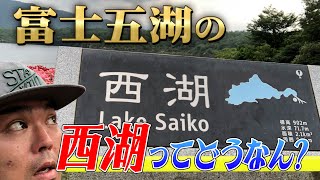 西湖はi字系ルアーの反応がやばい！