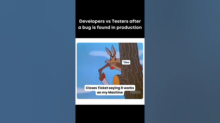 Developer vs Tester after a bug found in production