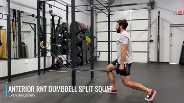 Anterior RNT Dumbbell Split Squat