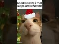 Mood Because Only 2 More Sleeps Till Christmas 